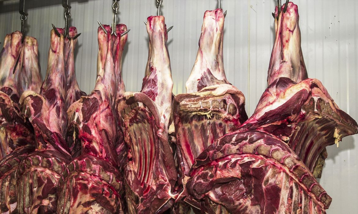 Brazilian Beef Exports Defy U.S. Tariffs to Hit Record in August