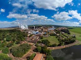 São Martinho shares