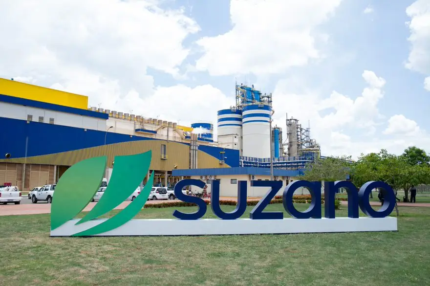 Suzano profit drops as FX offsets pulp gains