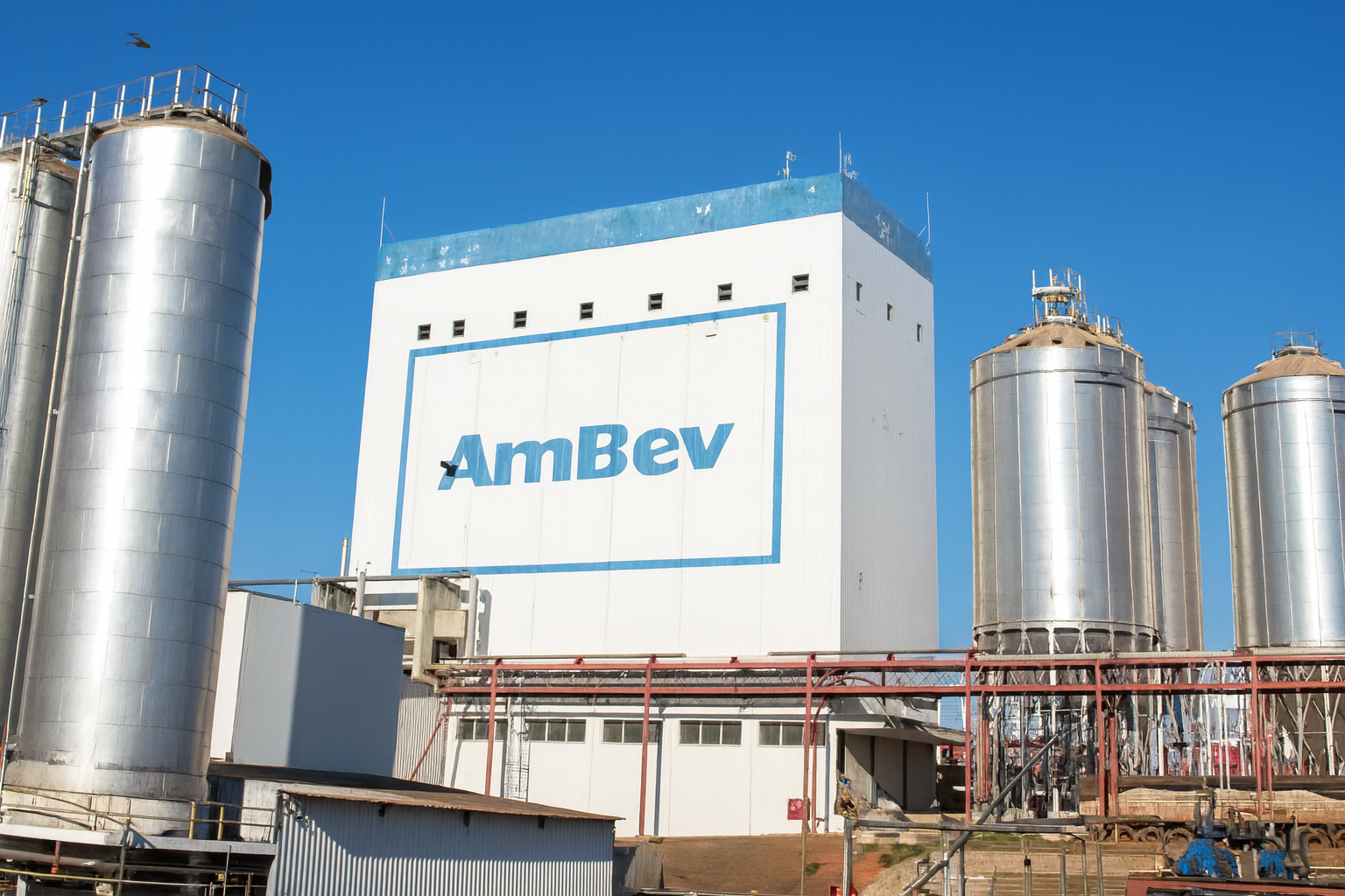 ambev, beverages