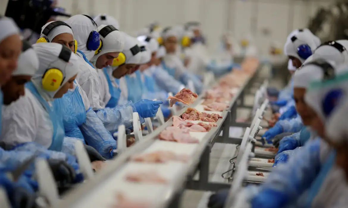 China lifts ban on poultry from Rio Grande do Sul in southern Brazil after Newcastle review