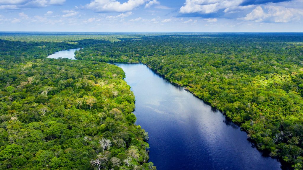 BTG launches Amazon-focused ETF backed by IDB Group initiative