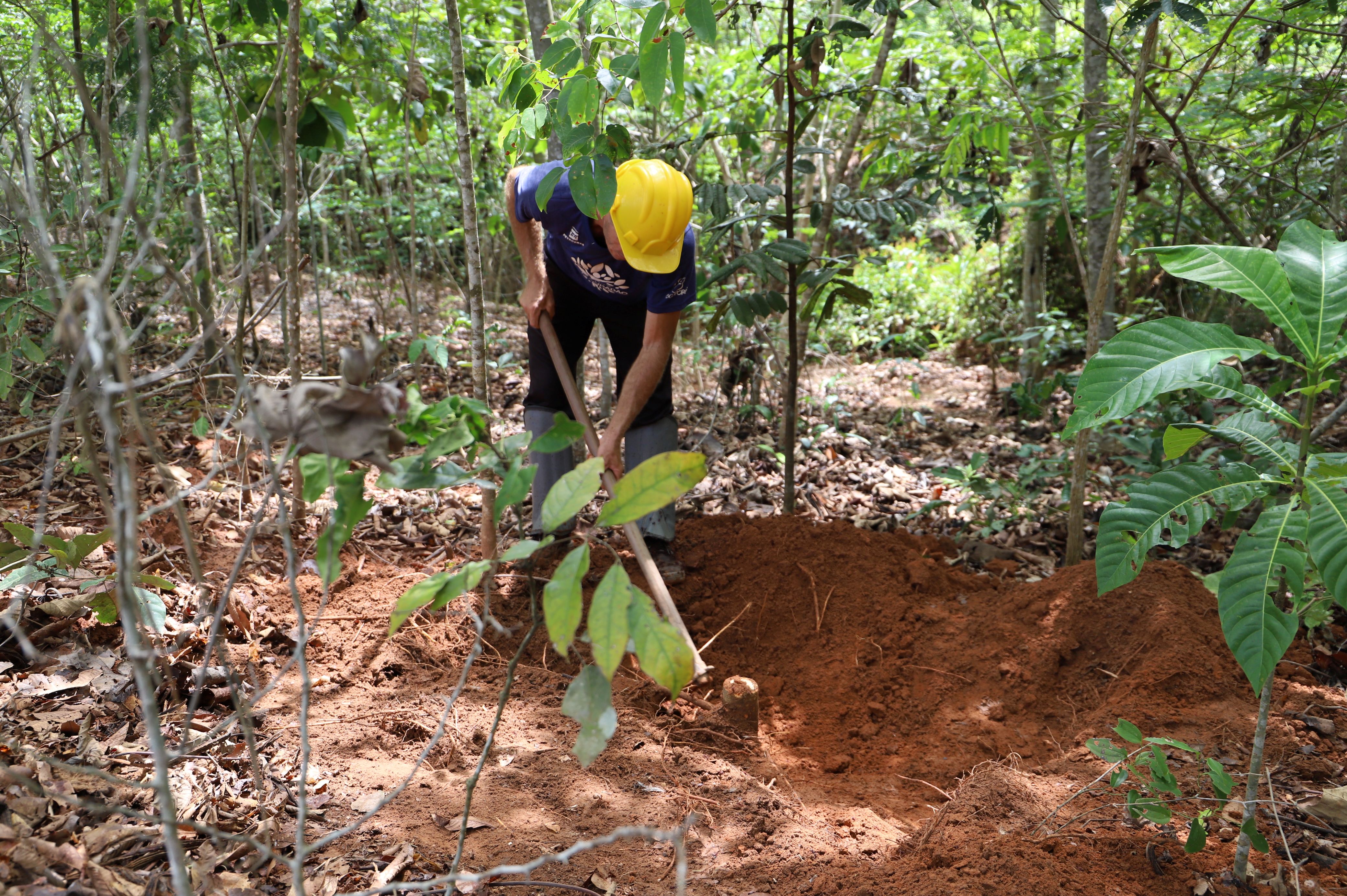 Petrobras, Shell Launch Brazil’s Largest Carbon Stock Inventory