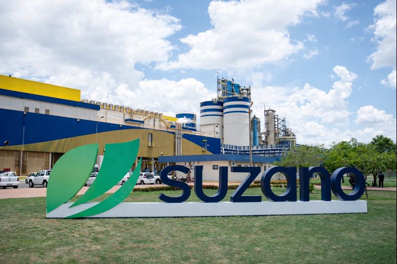 Suzano Returns to Profit With R$116 Million as Costs Fall and Volumes Hit Record