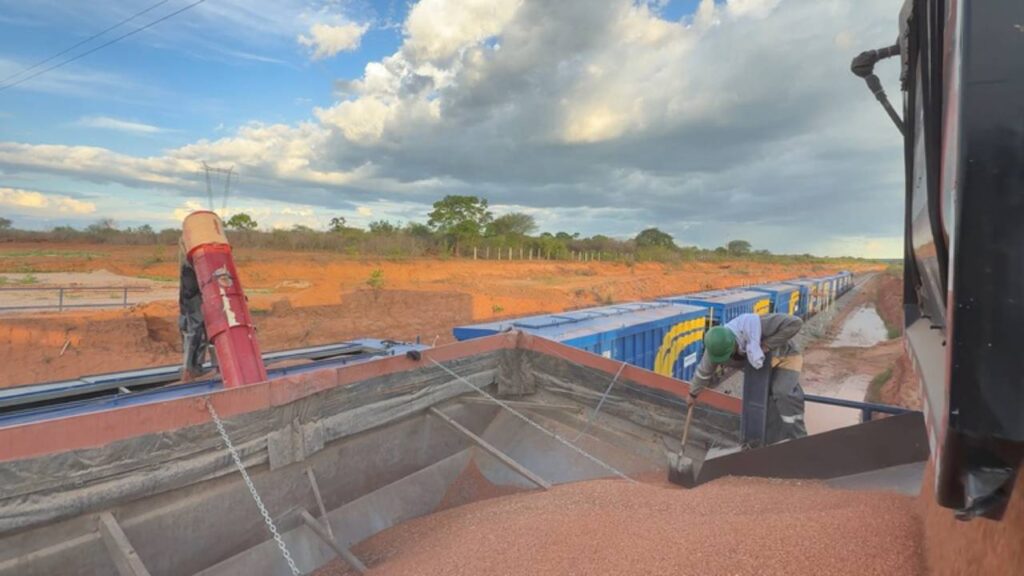 Transnordestina starts trial runs to shape business model by 2028