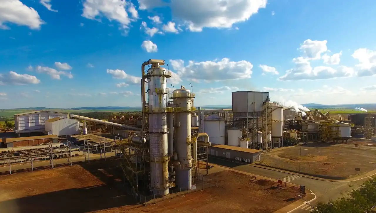 Jalles swings to profit in 3Q FY26 on hedge gains