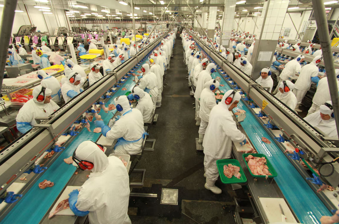 MBRF Invests Over $200 million to Boost Paraná Output